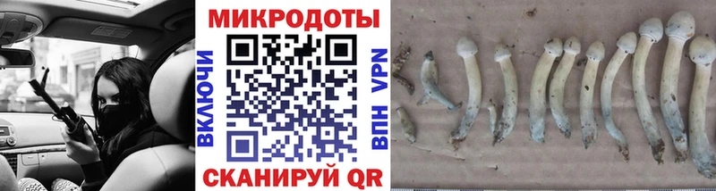 Галлюциногенные грибы мицелий Ковдор