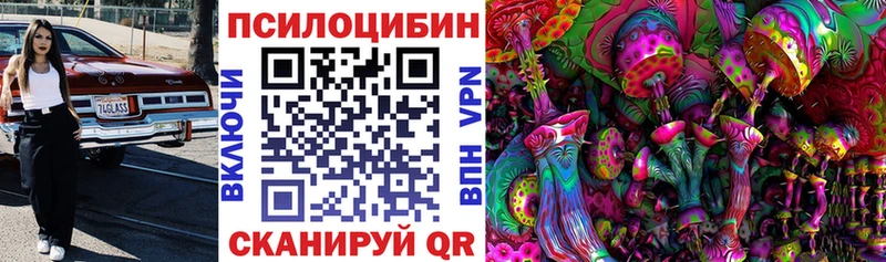 Купить закладки  Ковдор  Псилоцибиновые грибы GOLDEN TEACHER 